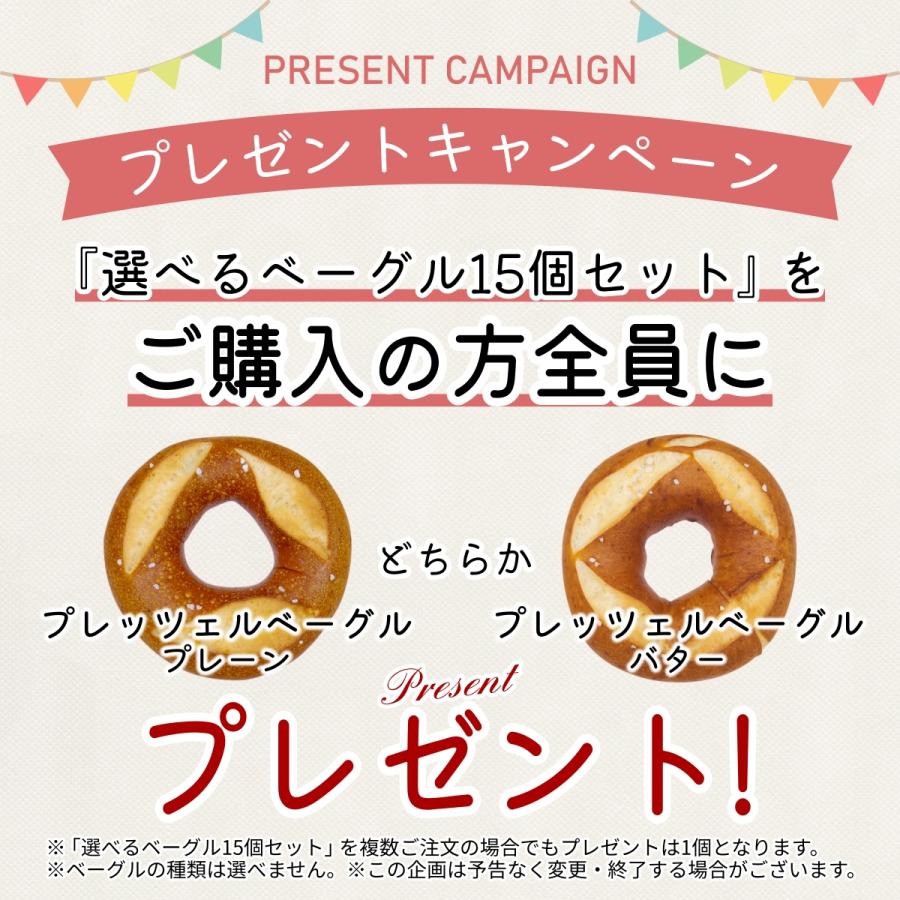 送料無料】選べる ベーグル 15個セット 詰め合わせ 北海道産小麦100