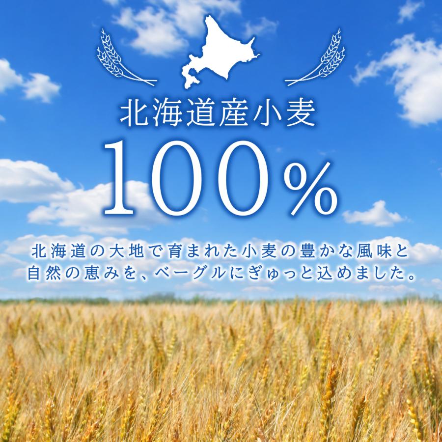 送料無料】選べる ベーグル 15個セット 詰め合わせ 北海道産小麦100