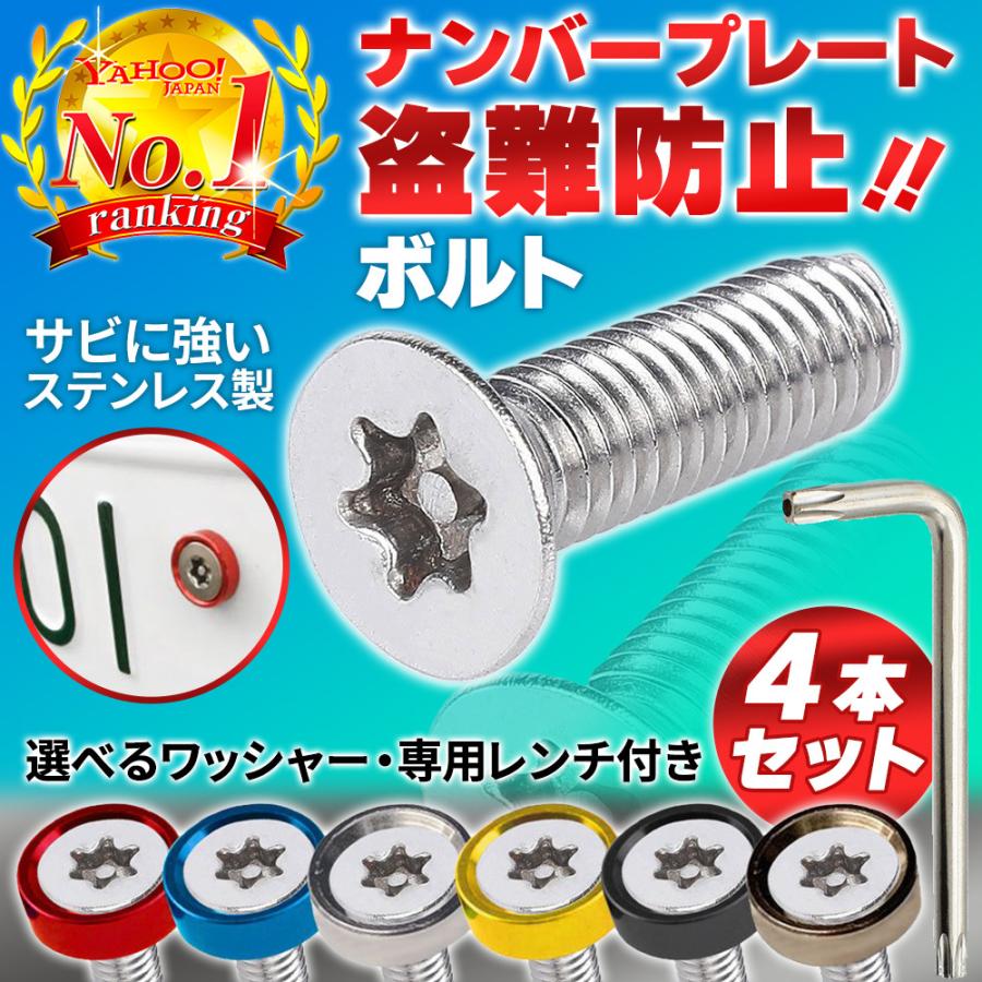 ナンバープレート ボルト 盗難防止 4本セット トルクスネジ ナンバープレート ボルト 盗難防止 4本セット トルクスネジ
