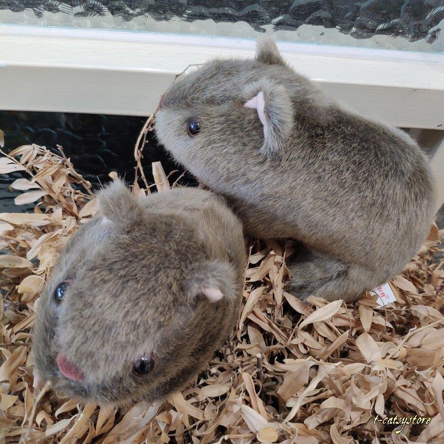 ねずみ ぬいぐるみ 鼠 モルモット 動物抱き枕 可愛い クリスマス 誕生日 ギフト 子ども おもちゃ 可愛い インテリア雑貨 21cm 30xf Baghome 通販 Yahoo ショッピング