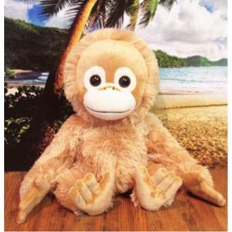 ベイビーココ ぬいぐるみ Baby Coco Natsu ベイビーココ ナツ Coco ココ ぬいぐるみm ベイビーココ グッズ ベイビーココ 雑貨のおもちゃ箱バーグyahoo 店 通販 Yahoo ショッピング