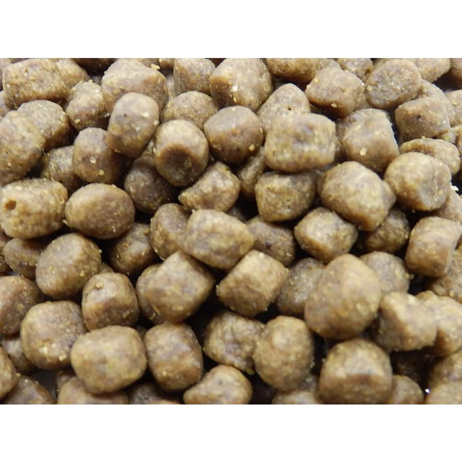 ロングライフ ウィッシュ ワイルドパピー Wish Wild Puppy 1.8kg