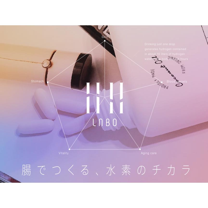 送料無料】ダブルエイチラボ 水素系サプリメント HH LABO 30粒