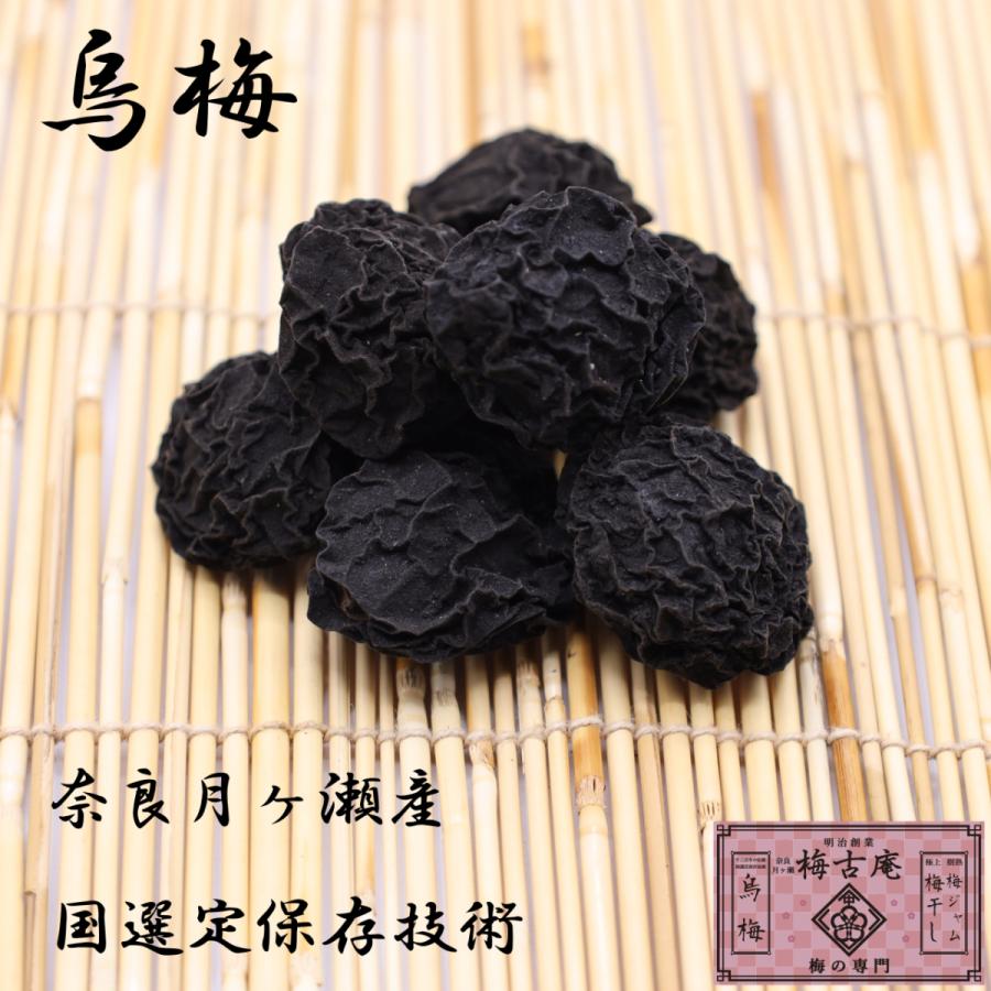 最も優遇 烏梅 500g 奈良月ヶ瀬 国選定保存技術 Ubi 002 梅古庵 通販 Yahoo ショッピング 超歓迎 Blog Lonolife Com
