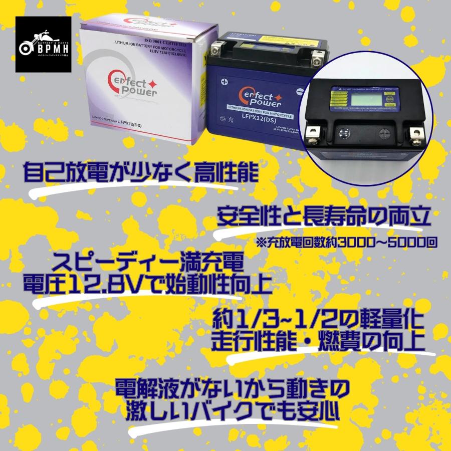 パーフェクトパワー LFPX12-DS リチウムイオンバッテリー【互換 パーフェクトパワー LFPX12-DS リチウムイオンバッテリー【互換