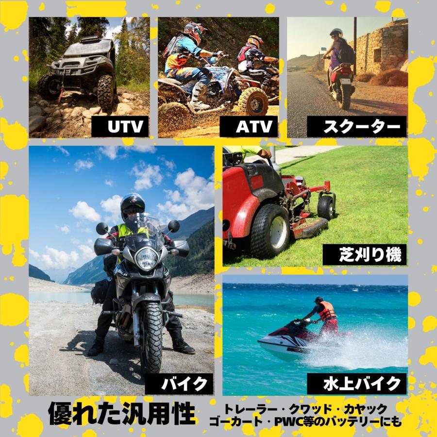 パーフェクトパワー LFPX12-DS リチウムイオンバッテリー【互換 パーフェクトパワー LFPX12-DS リチウムイオンバッテリー【互換