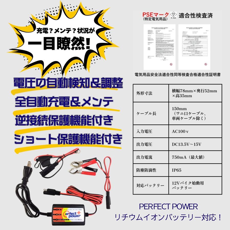 Amazon.com: Skymaker High Performance mn99s 18650 SM3P 2S