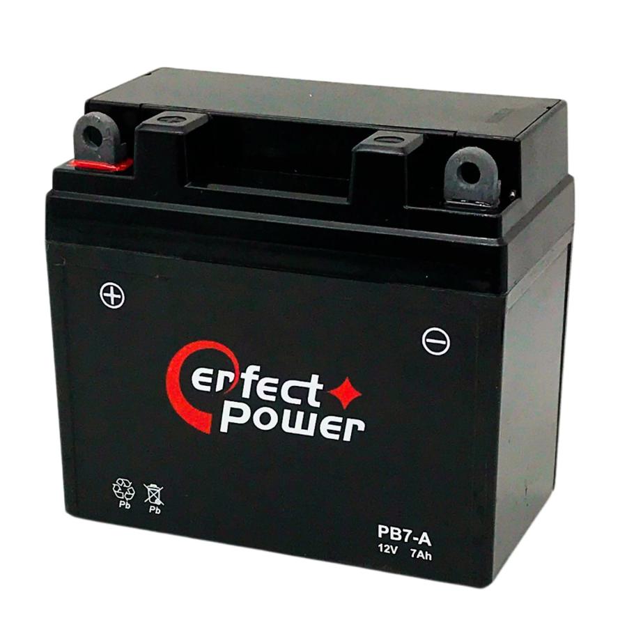 ぴーさん　専用です。他の方の購入は控えてください。 園芸製品もGO！GO！ キャンペーン今日までです！！ バッテリーが