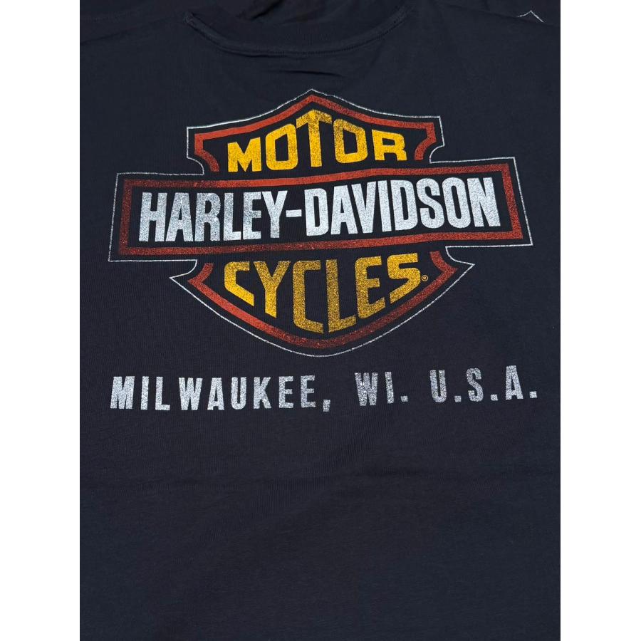 KTさま専用ハーレーダビッドソン両A面バイカー&イーグルTシャツUSA製L黒 Harley Davidson（ハーレー・ダビッドソン） 両面プリント Tシャツ