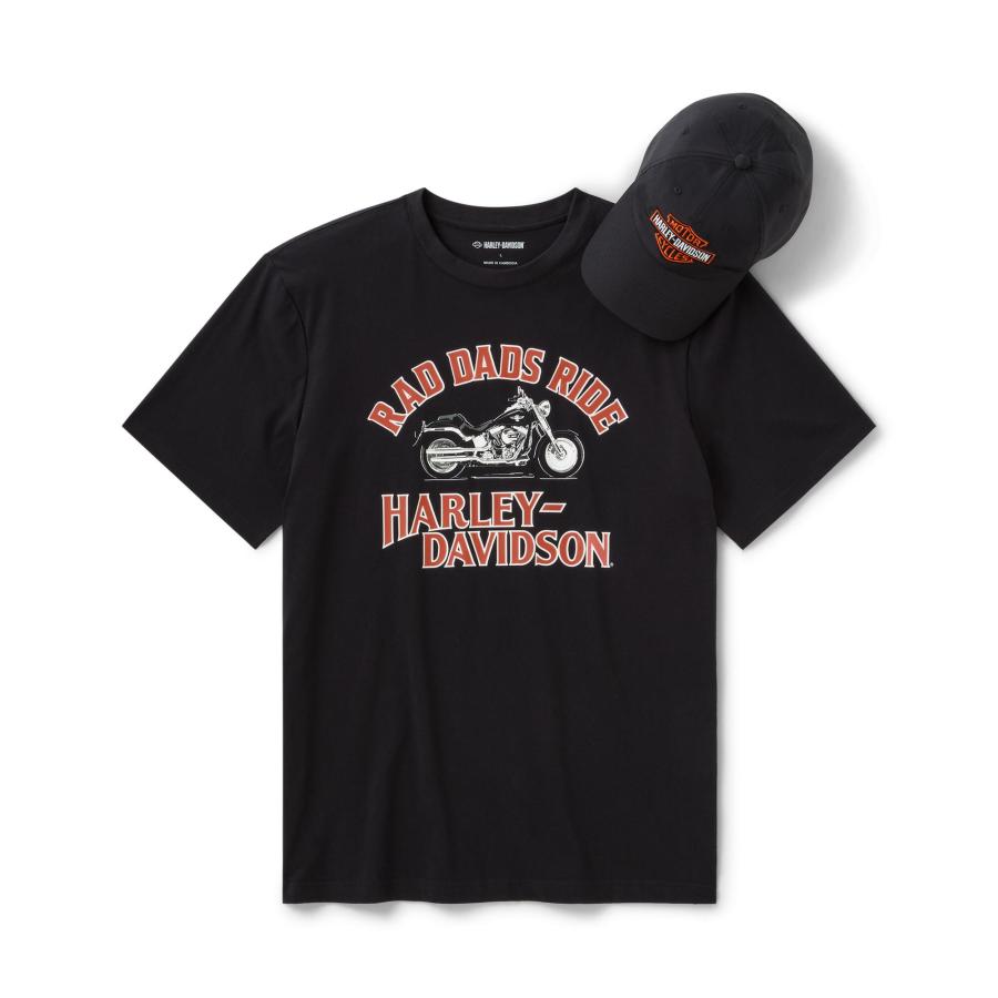 旧マッコイズ Harley ハーレーTシャツ フリーホイーラーズ Harley