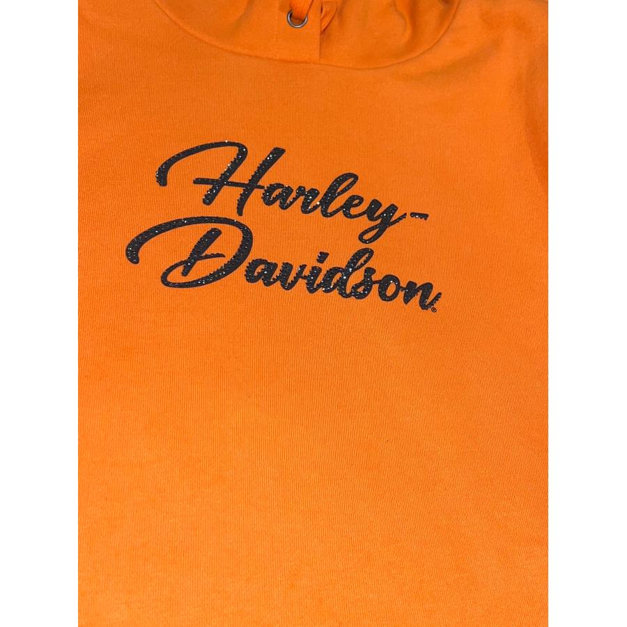 Harley Davidson（ハーレー・ダビッドソン） エッセンシャル ブリン