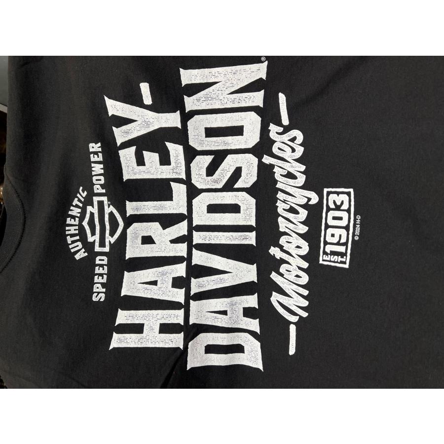 Harley Davidson ハーレーダビッドソン スーベニア Tシャツ Harley Davidson ハーレーダビッドソン スーベニア Tシャツ