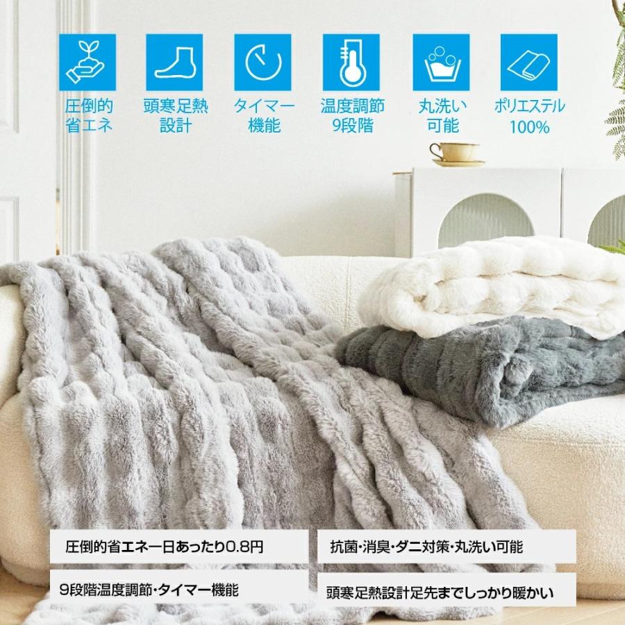 クーポンで6,980円から ふわとろ毛布 電気毛布 掛け敷き 即暖 保温 2枚