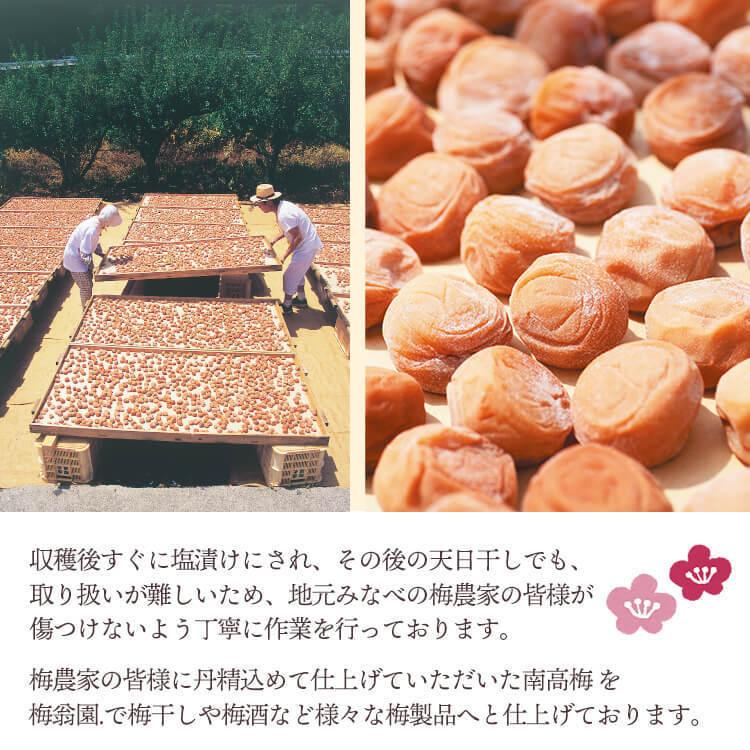 はちみつ 梅干し ご家庭用エコパック スイートはちみつ380g 塩分5％ はちみつ梅 紀州南高梅 梅翁園 ばいおうえん | 梅翁園. | 08