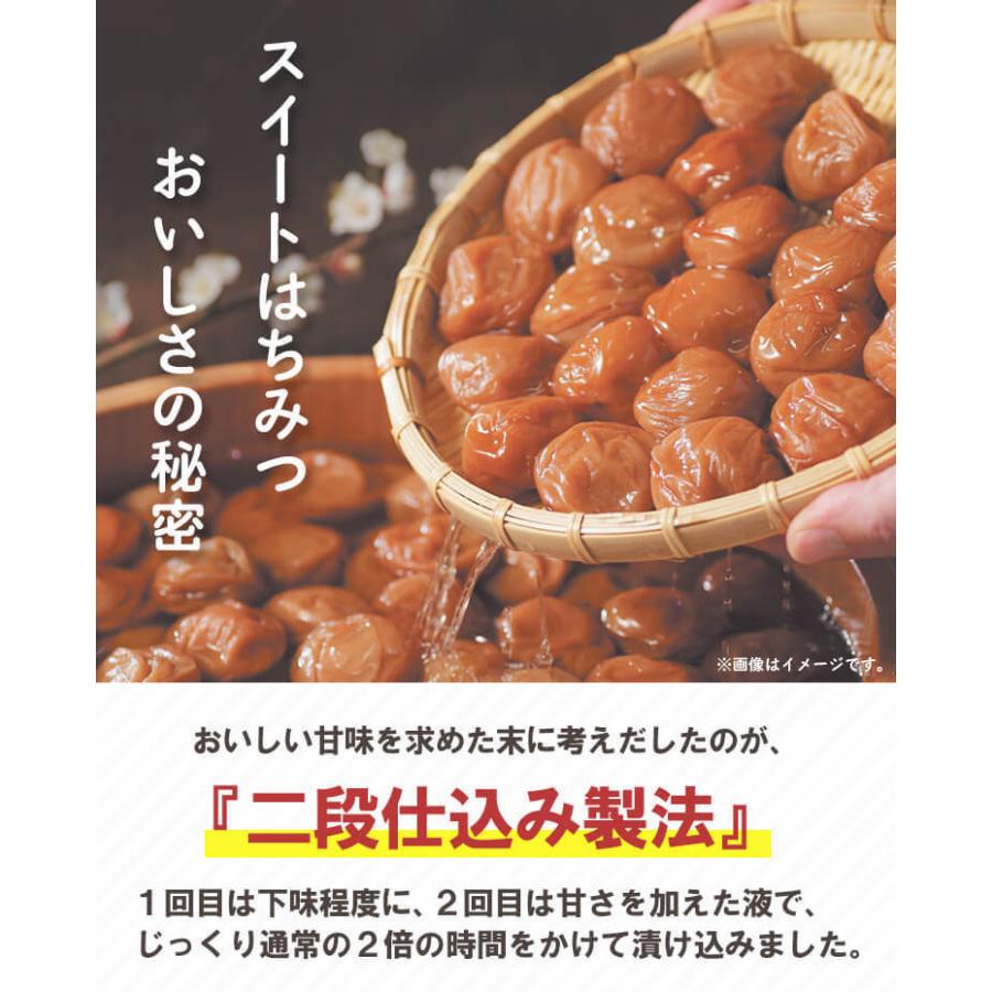 はちみつ 梅干し ご家庭用エコパック スイートはちみつ380g 塩分5％ はちみつ梅 紀州南高梅 梅翁園 ばいおうえん | 梅翁園. | 02