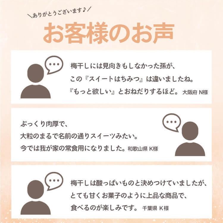 はちみつ 梅干し ご家庭用エコパック スイートはちみつ380g 塩分5％ はちみつ梅 紀州南高梅 梅翁園 ばいおうえん｜baiouenn｜07