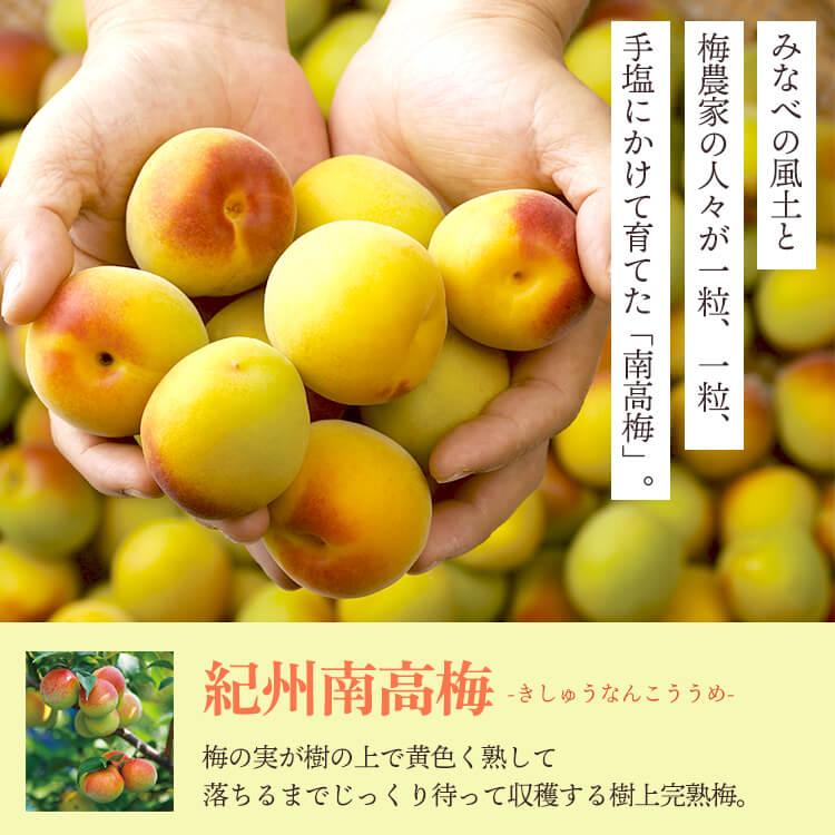 梅干し 減塩 はちみつ梅 中粒(2L)サイズ あまあま3％ 500g 塩分3％  期間限定 送料無料 紀州南高梅｜baiouenn｜08