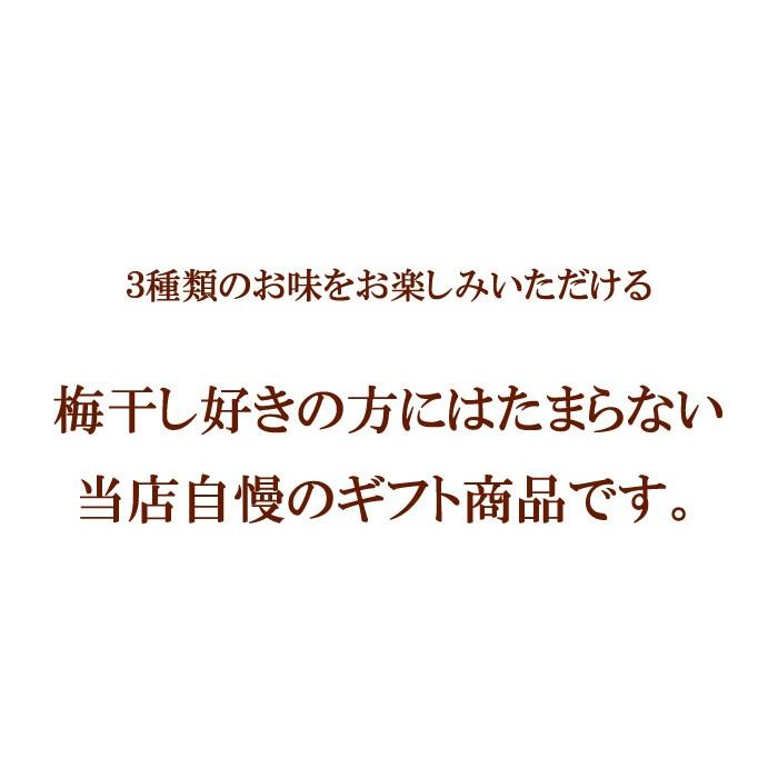 梅干しプレゼント 食べ物 お祝 お返し 内祝 つづみ梅 15粒 個包装 内祝 高級 紀州 南高梅 健康 ギフト | 梅翁園. | 01