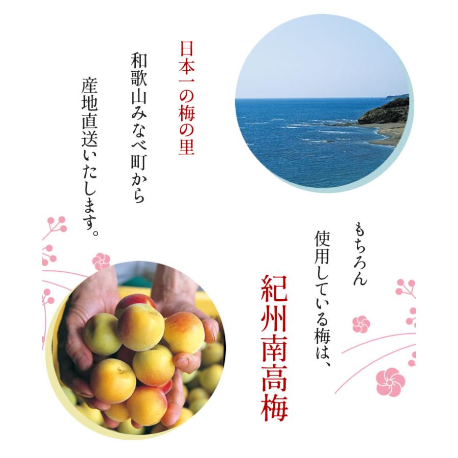 梅干し  母の日 2024 お祝 入園 入学 お返し 内祝 健康 ギフト 食べ物 送料無料 紀州南高 想い梅 8粒 木箱入 種ぬき梅干し 個包装 御祝 長寿祝 内祝｜baiouenn｜04