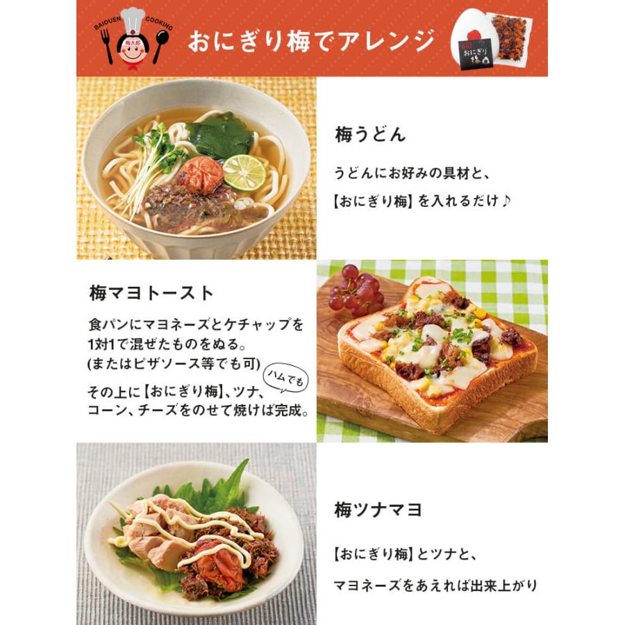 梅翁園. おにぎりの具 種ぬき おにぎり梅 180g はちみつ梅 かつお節