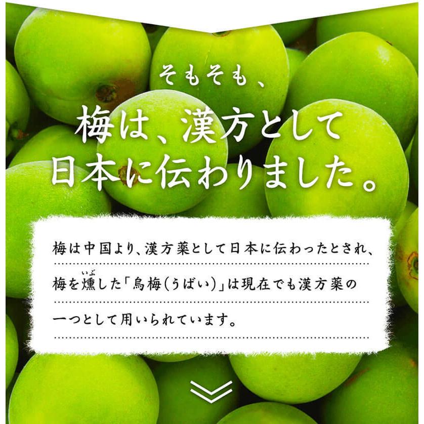 梅肉エキス 120g 計量スプーン付 国産 純正 紀州産 梅エキス クエン酸 ムメフラール |  | 01