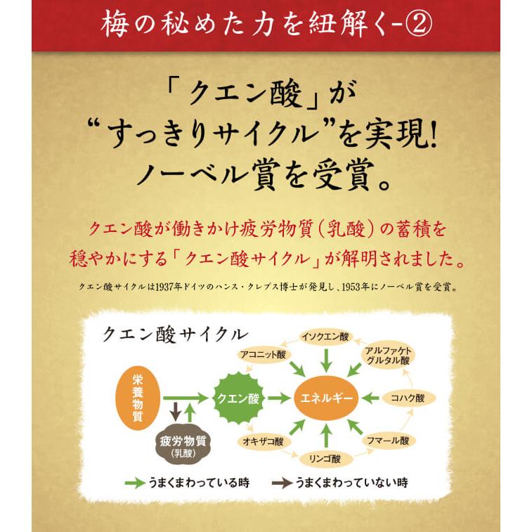 梅肉エキス 120g 計量スプーン付 国産 純正 紀州産 梅エキス クエン酸 ムメフラール |  | 05