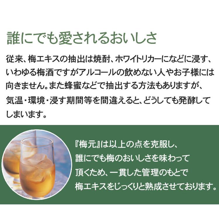 em梅ジュース4本 陽だまりファーム 梅ジュース 梅ドリンク180ml 30%うめ果汁入り