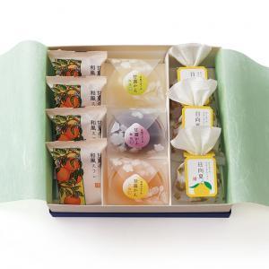 絶対一番安い 梅林堂 夏もよう2号 お菓子 和菓子 水菓子 フルーツゼリー 御中元 埼玉 土産 ギフト 詰合せ 個包装 アソート