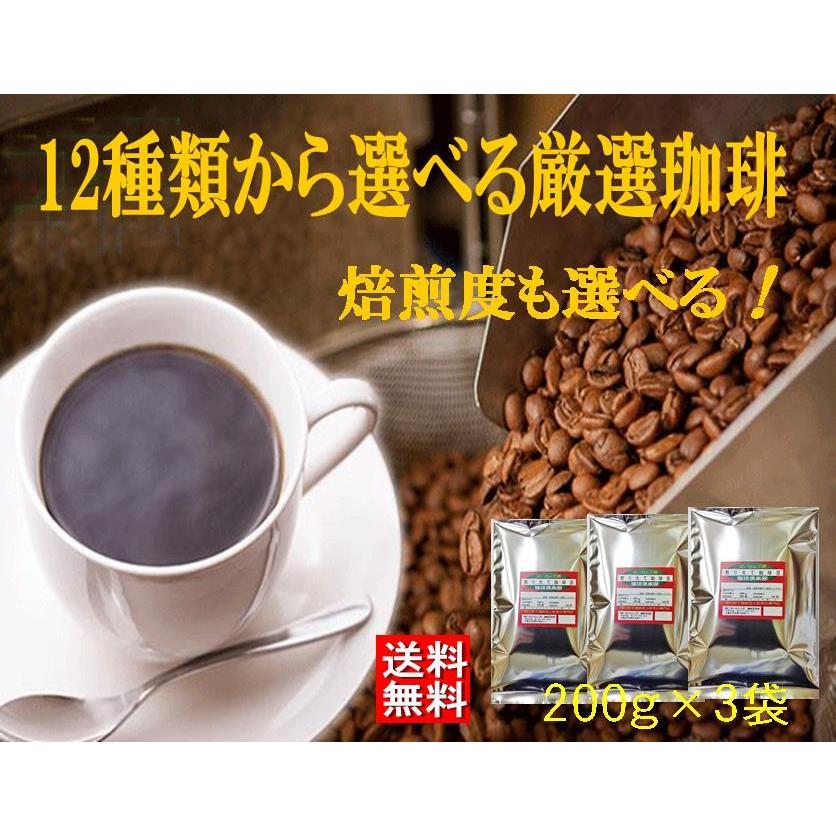 最高品質の コーヒー豆 計600ｇ『12点の珈琲豆から焙煎度も選べる3点！計600ｇセット福袋！』