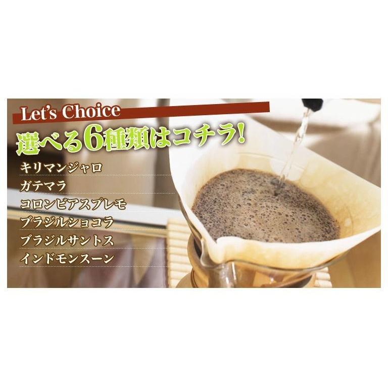 コーヒー豆 6種類からお好きな珈琲豆を選べる。200g 送料無料 メール
