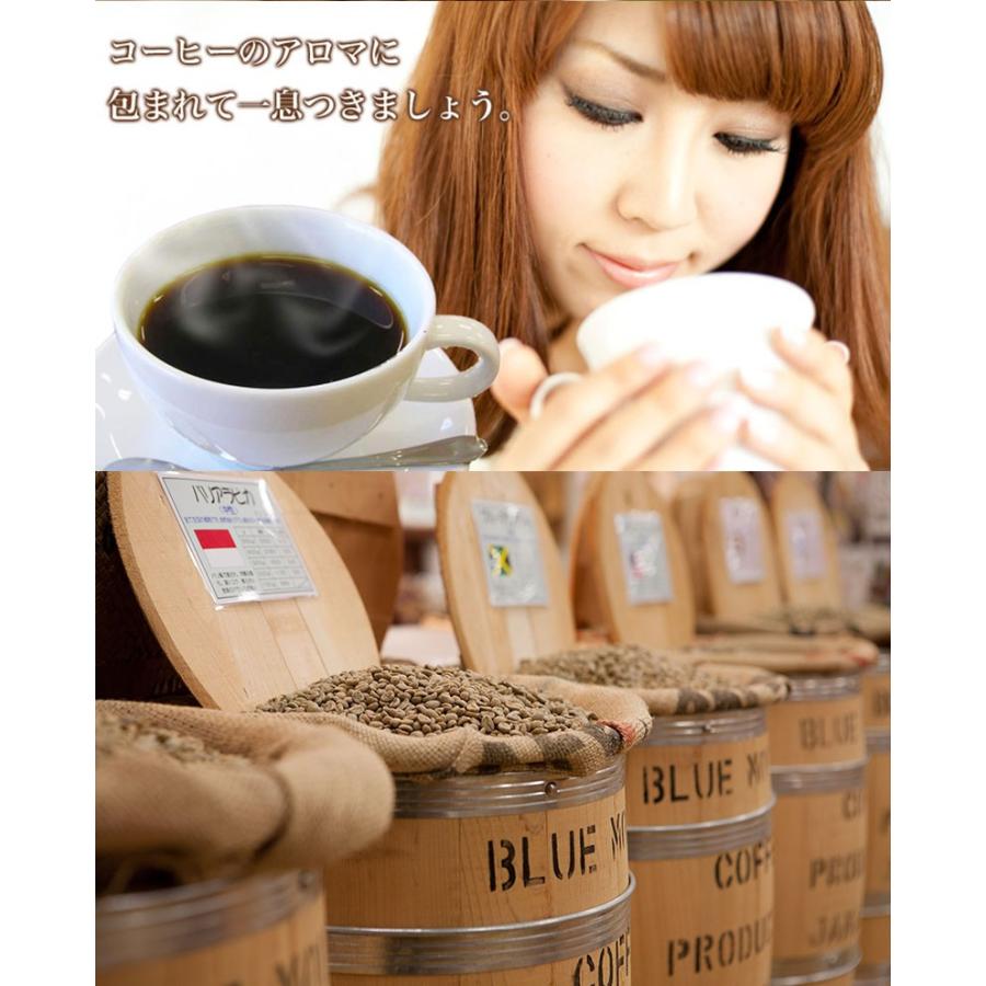 コーヒー豆 送料無料 ワンランク上のモカ珈琲 飲み比べセット各100ｇ×3袋 計300ｇ｜baisen-coffee｜10