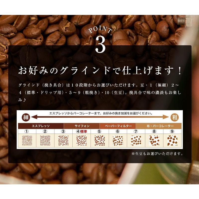 コーヒー豆 送料無料 ワンランク上のモカ珈琲 飲み比べセット各100g×3