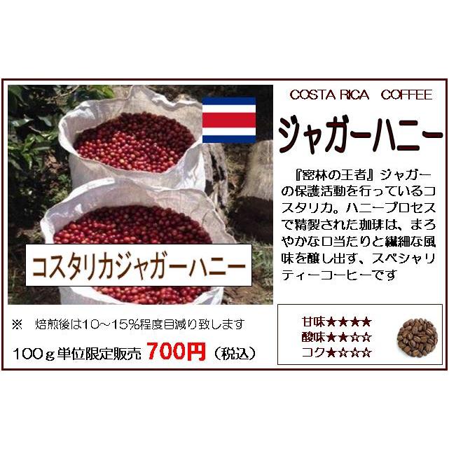 コーヒー豆 コスタリカ ジャガーハニー 100g : ばいせん工房 珈琲