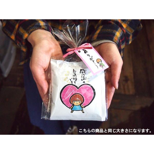 プチギフト gift お菓子 退職 お世話になりました お礼の品 ドリップコーヒー 個包装 おしゃれ お返し 引越し ありがとう ちょこっとDB２個＆ワッフル｜baisenmoto-waraku｜12