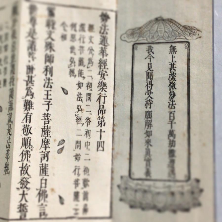 #資251 安楽行品 訓点付 大形 |  | 01