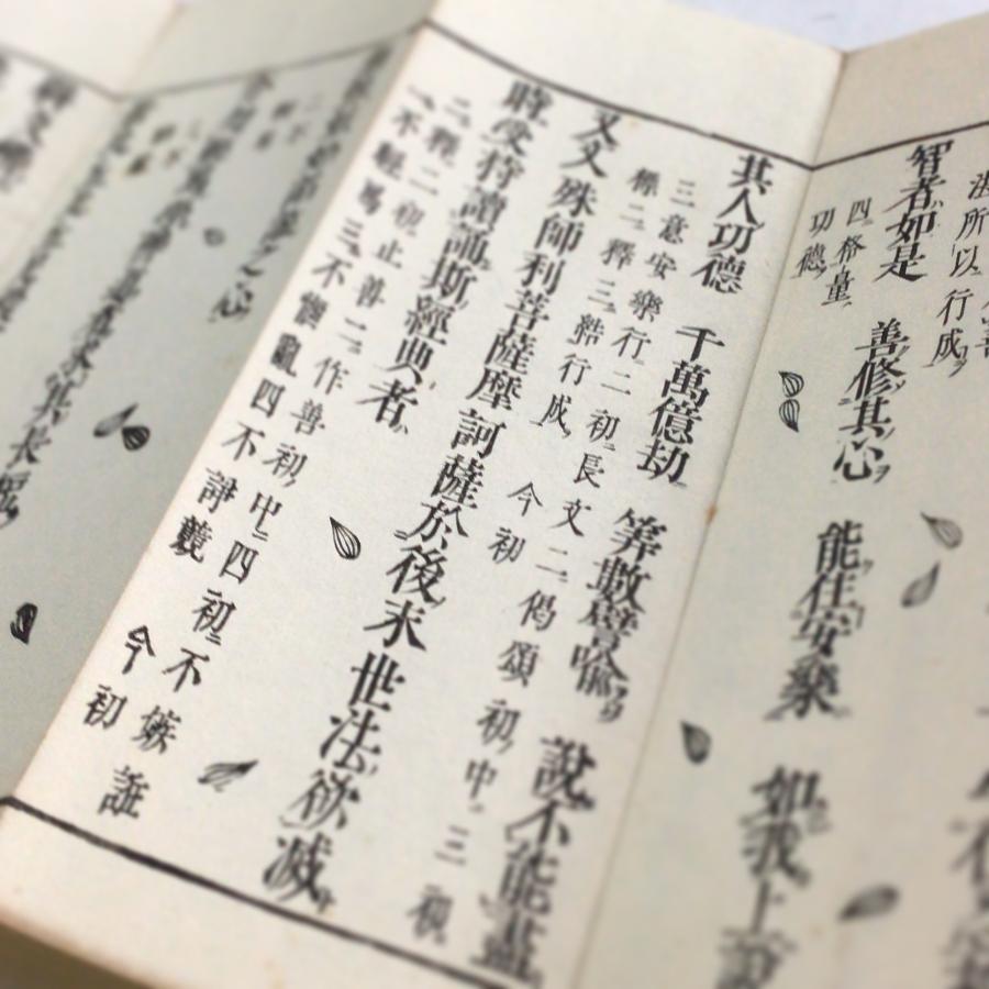 #資251 安楽行品 訓点付 大形 |  | 02