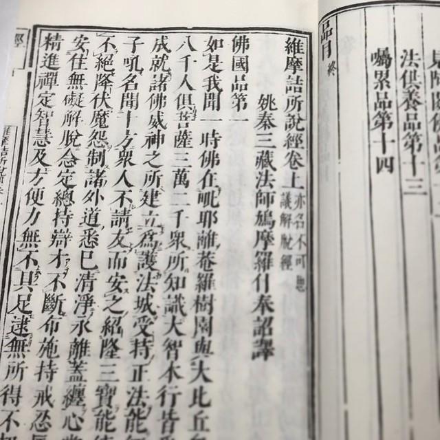 #001 鉄眼版 維摩詰所説経(木版手摺) |  | 02