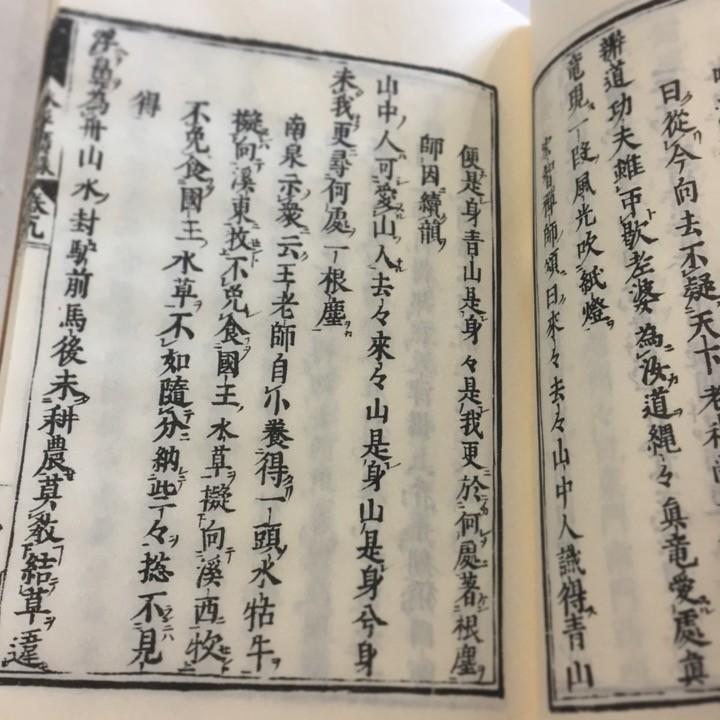 #005 永平頌古(木版手摺) 永平広録 第九巻の抜摺 |  | 02