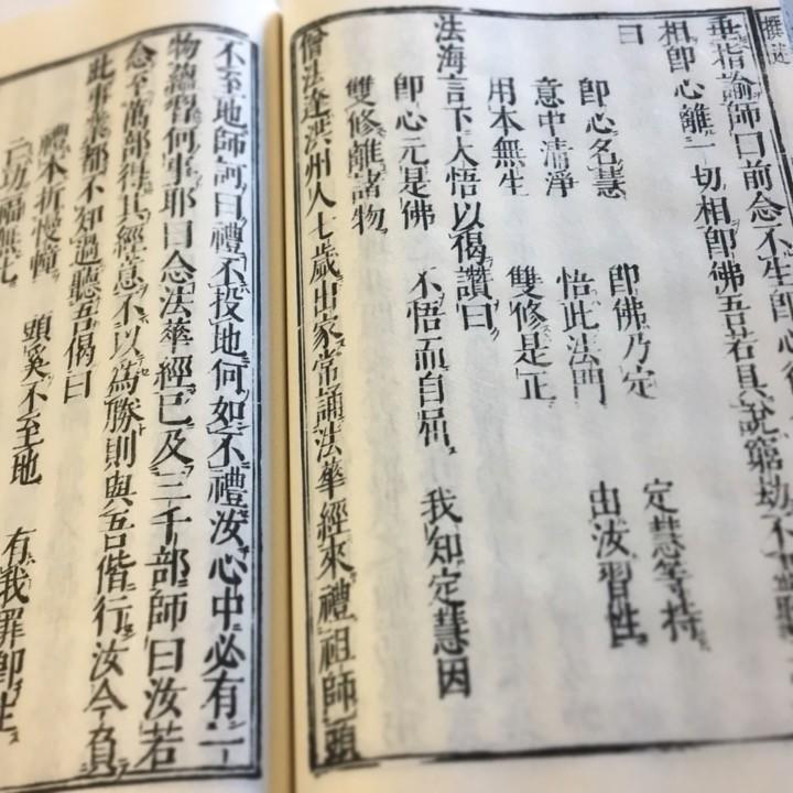 #103 鉄眼版 六祖法宝壇経(木版手摺) |  | 05