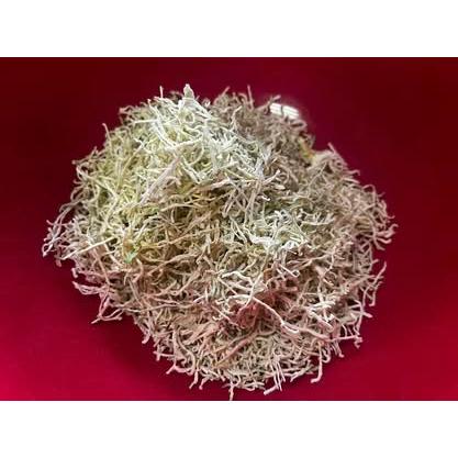 乾燥＊青パパイヤ】☆切り干し太目タイプ☆30g〜栽培期間中農薬不使用