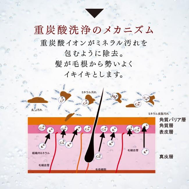 重炭酸入浴剤 薬用 クアオルト 9錠 塩素除去 重炭酸 重炭酸湯 炭酸泉 入浴剤 無添加 ホットタブ Hot Tab |  | 12