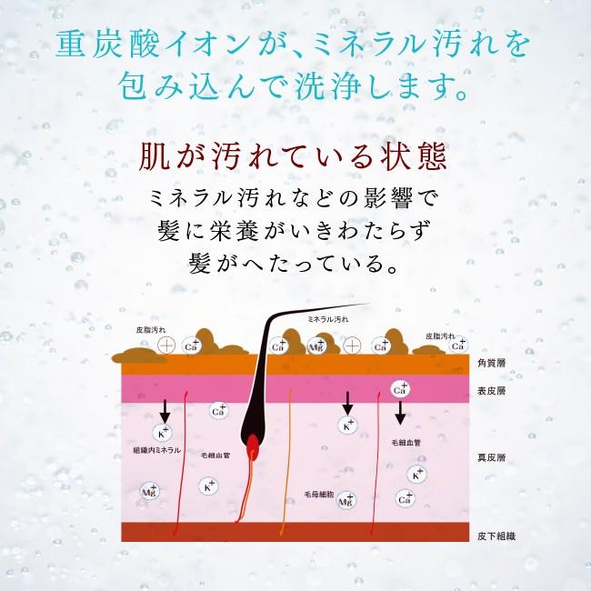 重炭酸入浴剤 薬用 クアオルト 90錠 塩素除去 重炭酸 重炭酸湯 炭酸泉 入浴剤 無添加 ホットタブ Hot Tab｜bakaure-onlineshop｜12