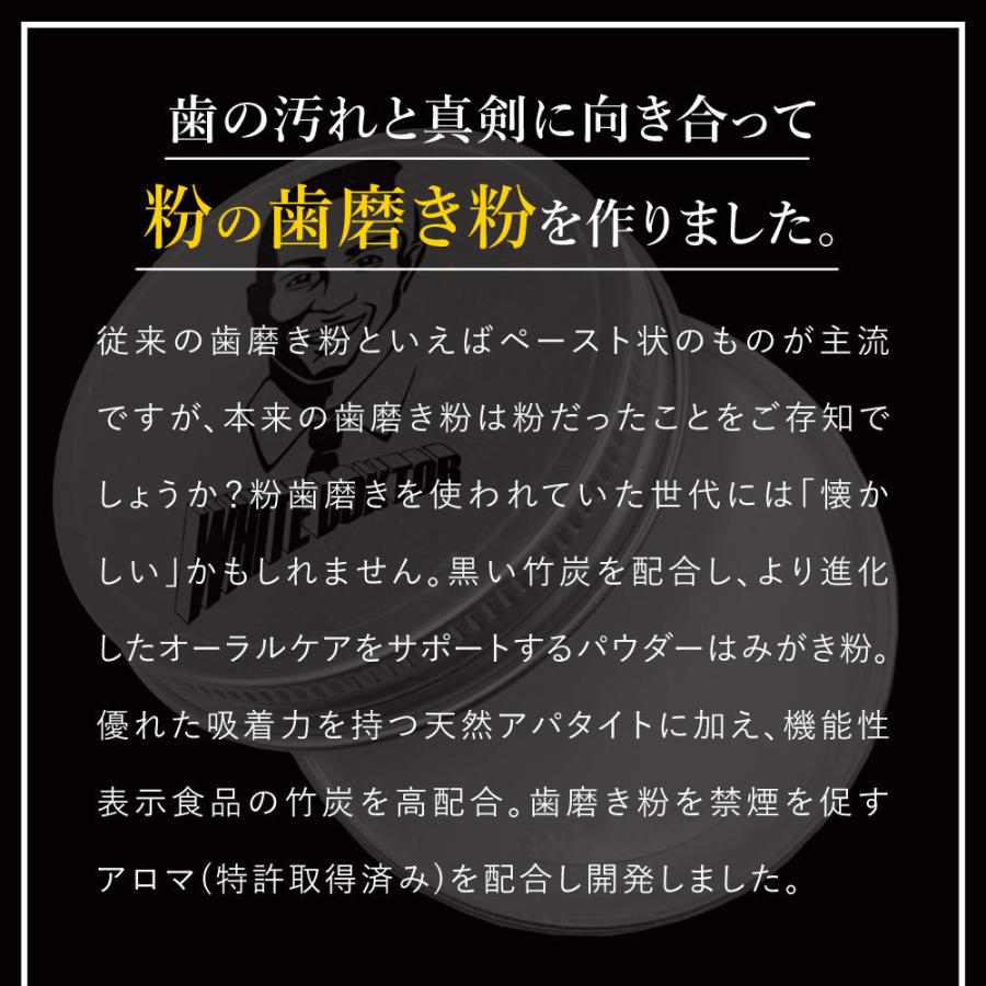 ミスタースモーキー ヤニ取り 歯磨き粉 日本製 ヤニ取り