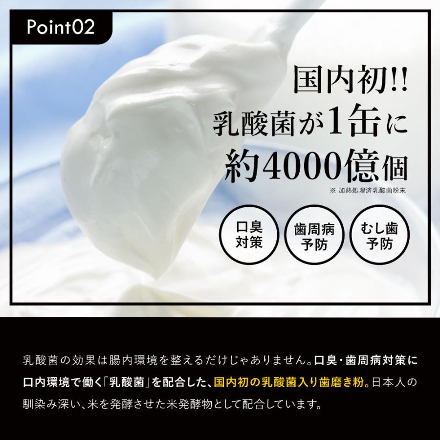 ミスタースモーキー ヤニ取り 歯磨き粉 日本製 ヤニ取りクリーナー