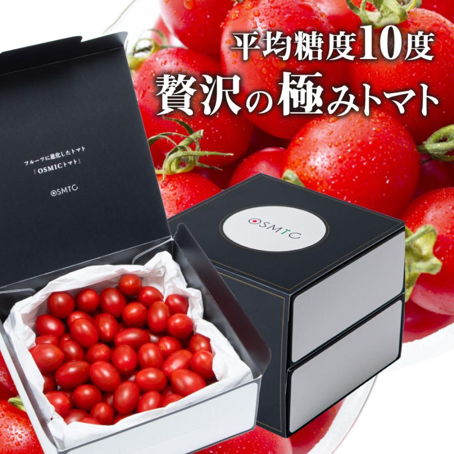 市場 ふるさと納税 愛知県産 フルーツトマト糖度10度 1.2kg 野菜 国産 市場 ふるさと納税 愛知県産 フルーツトマト糖度10度 1.2kg 野菜 国産