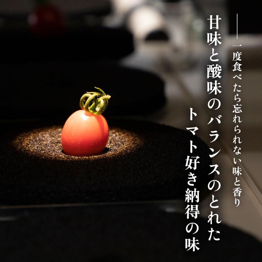 オスミックトマト ミニ プレミアム 120g×8パックセット 960g 糖度10 