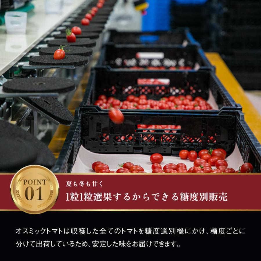 オスミックトマト ミニ プレミアム 120g×8パックセット 960g 糖度10 国産 ミニトマト トマトグランプリ総合優勝 :k0230:バカ売れ研究所オンラインショップ - 通販 - Yahoo!ショッピング オスミックトマト ミニ プレミアム 120g×8パックセット 960g 糖度10 国産 ミニトマト トマトグランプリ総合優勝 :k0230:バカ売れ研究所オンラインショップ - 通販 - Yahoo!ショッピング