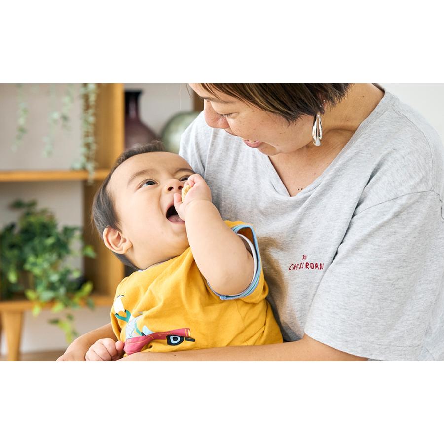 くちどけおこめぼー 25g 選べるお得な20パックセット プレーン 緑のやさい 赤のやさい 赤ちゃん お菓子 砂糖不使用 無添加 離乳食 国産米 おこめぼうの画像