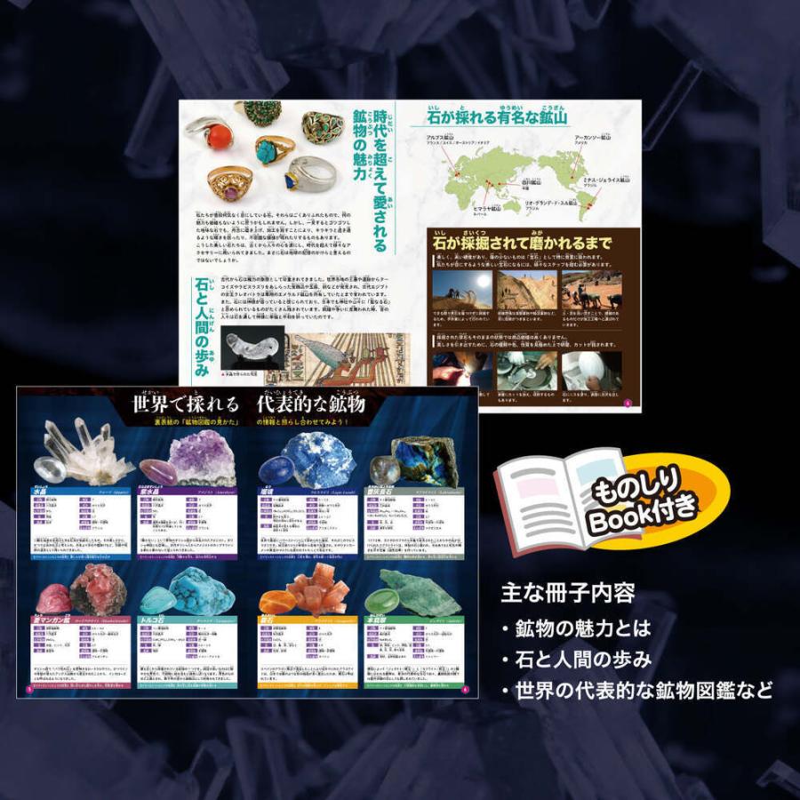 触れる図鑑 天然石磨き 地球の奇跡 鉱物 工作キット 実験キット 自由