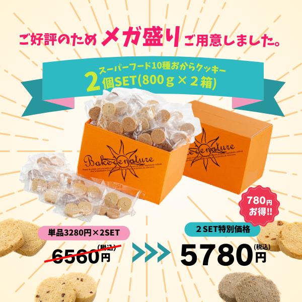 おからクッキー 大量 2箱セット 個包装 小分け グルテンフリー お菓子